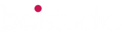 BCIstudio Logo