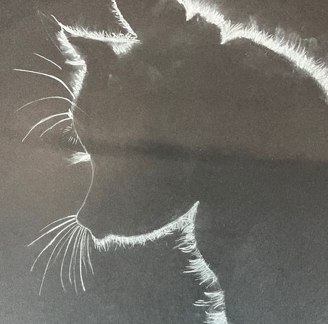 Atelier de dessin animaux avec l'artiste peintre Lise Roy : cours sur Longueuil, Beloeil et St Amable