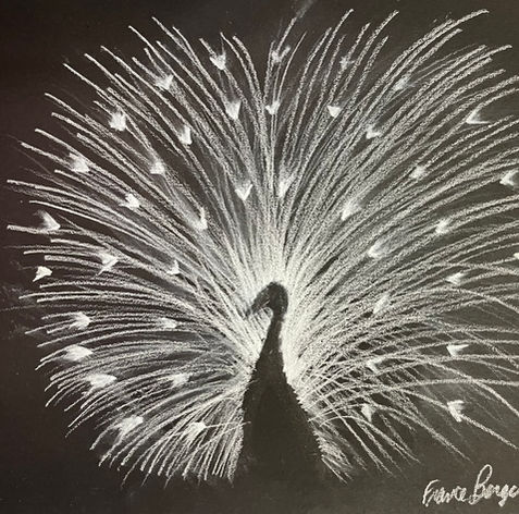 Atelier de dessin animaux avec l'artiste peintre Lise Roy : cours sur Longueuil, Beloeil et St Amable