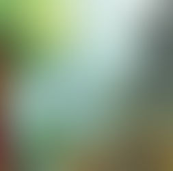 Lush green tree with oranges over destroyed landscape. Debris scattered, dark smoke in sky. Piece of fabric with red, white, and green visible.