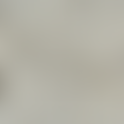 “I bought one for her the other day, and it was pronounced to be a prodigious bargain by every lady who saw it. I gave but five shillings a yard for it, and a true Indian muslin.” Northanger Abbey by Jane Austen (1817)
