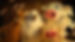images (5)