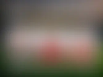 DF11 UPDATE FILE 1 SEASON 24/25