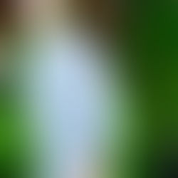 年末年始休業のお知らせ