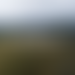 トム家のマヌカハニーブランド映像制作