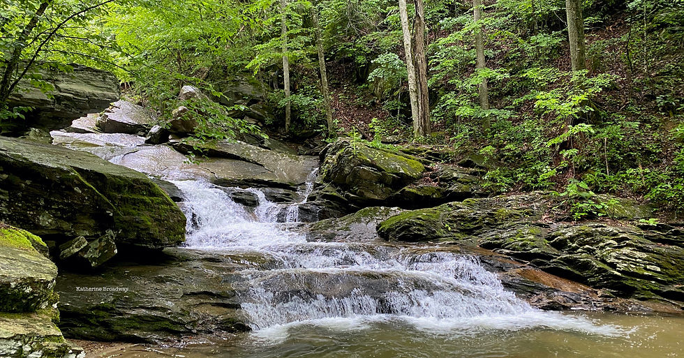 waterfall, mindfulness, Raleigh Psychotherapy, counseling, Katherine Broadway