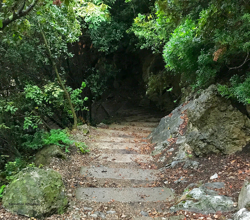 Image of a stone path through a wooded area. Raleigh Psychotherapy, counseling, depression, shame, Katherine Broadway