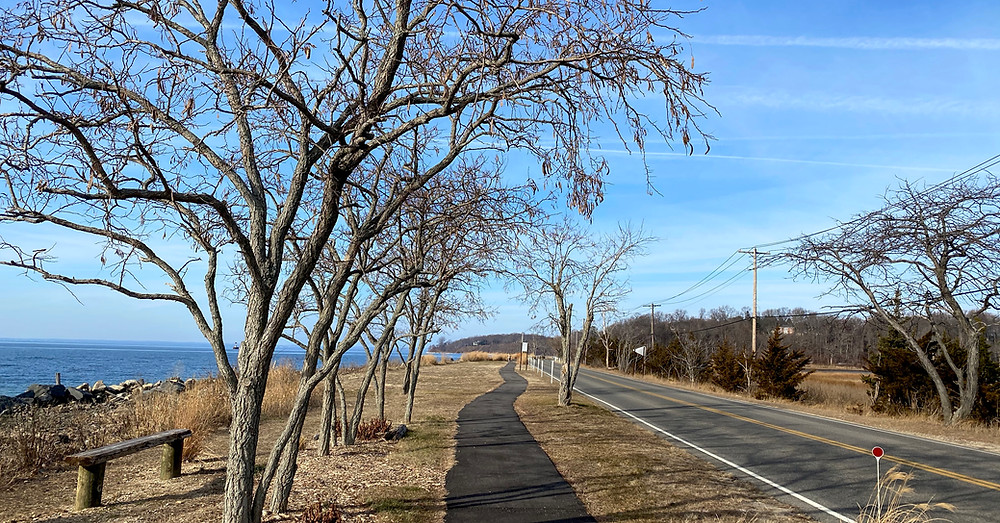 picture of road, Raleigh Psychotherapy, resolutions, counseling, Katherine Broadway