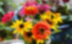Image of multicolored flowers in a bouquet. Raleigh Psychotherapy, counseling, Apology, Katherine Broadway