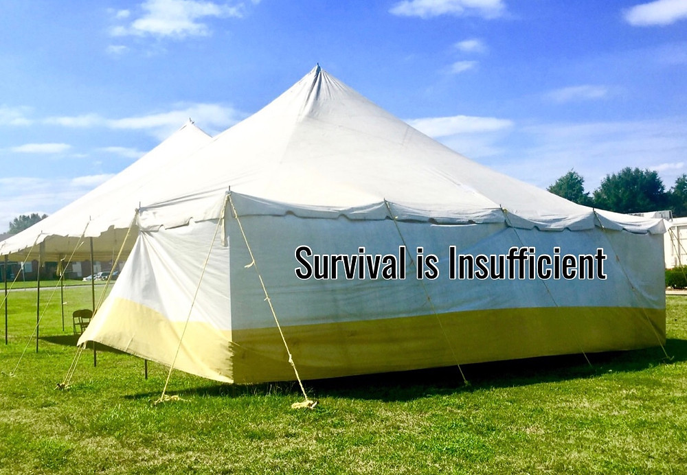 Image of big white tent on which is written "survival is insufficient".Raleigh Psychotherapy, counseling, Katherine Broadway, survival