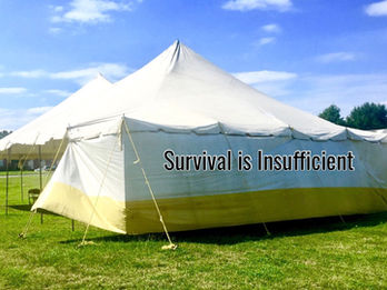 “Survival is Insufficient”