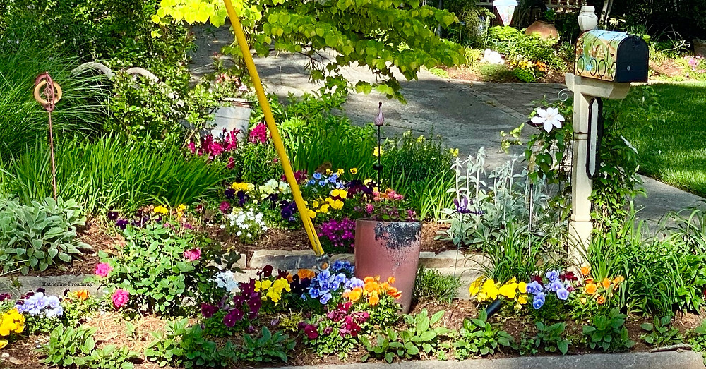 flowers in a garden, empathy, Raleigh Psychotherapy, counseling