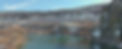 MAX_0002snake-web.jpg