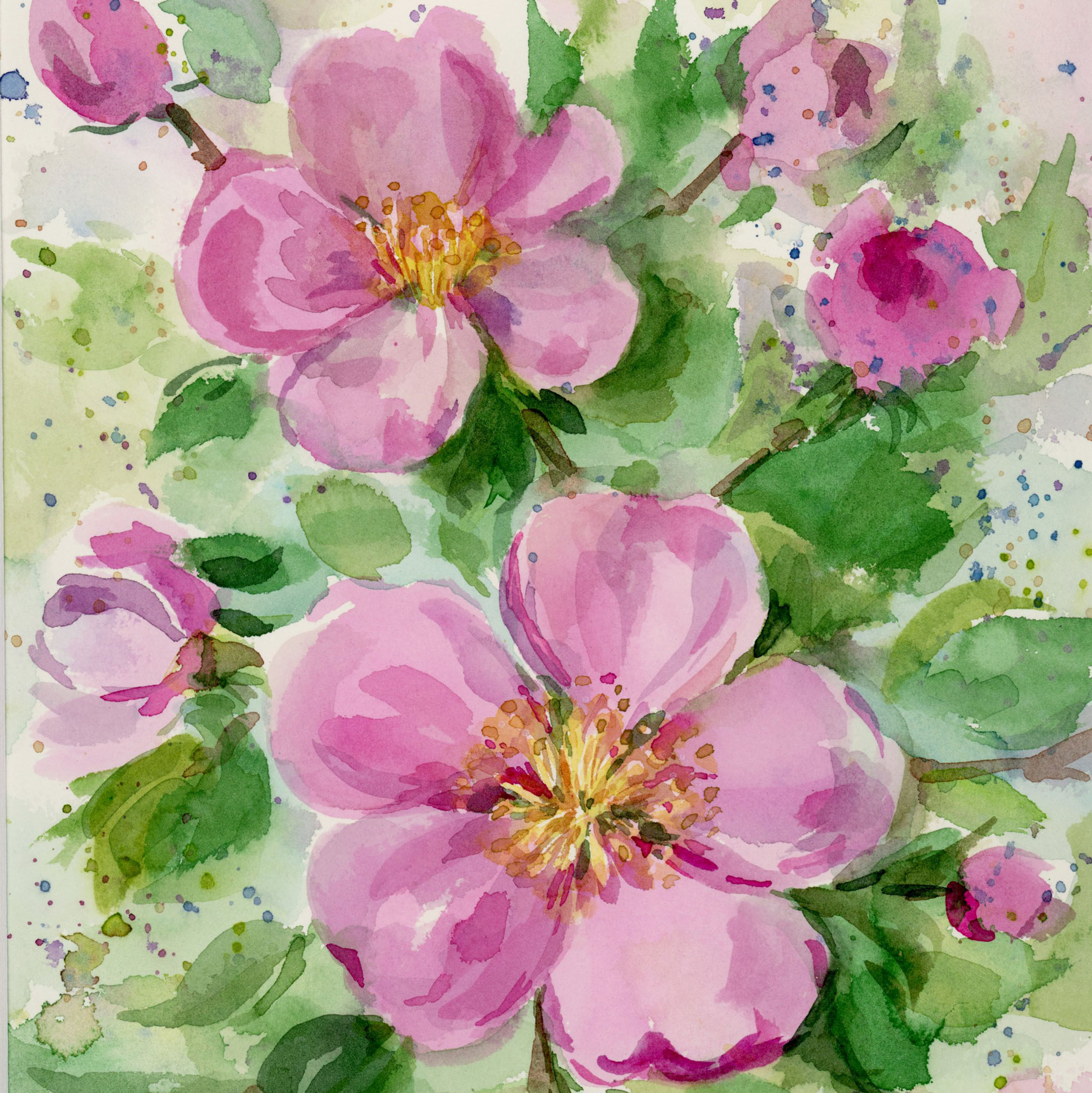 Cherry Blossoms, Spattered
