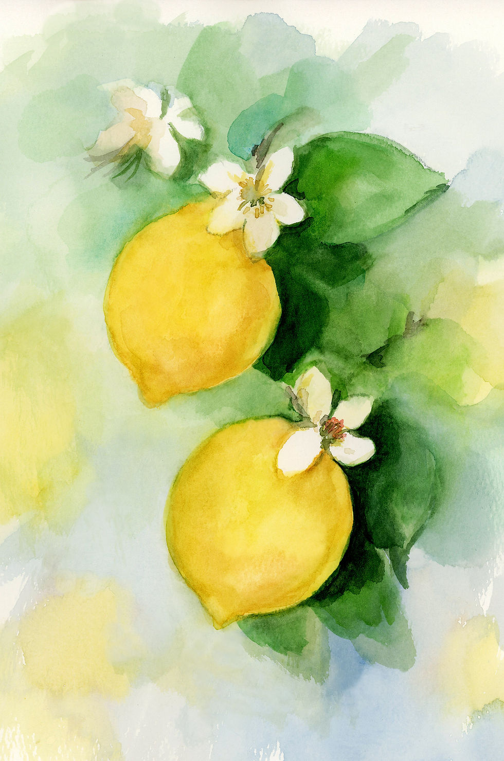 Watercolor Enthusiasts (January session)