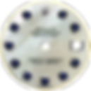 MOP White SA ws (2).png