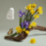 THE REVENGE OF LADY BLANCHE PENHALIGON’S