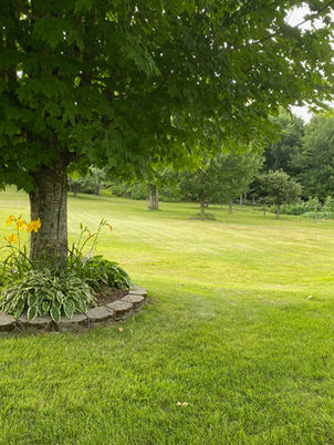 08DFA46D-35E6-482E-9035-D0DBBB8A8517.jpeg