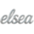 ELSEA chrome logo - for senses page images