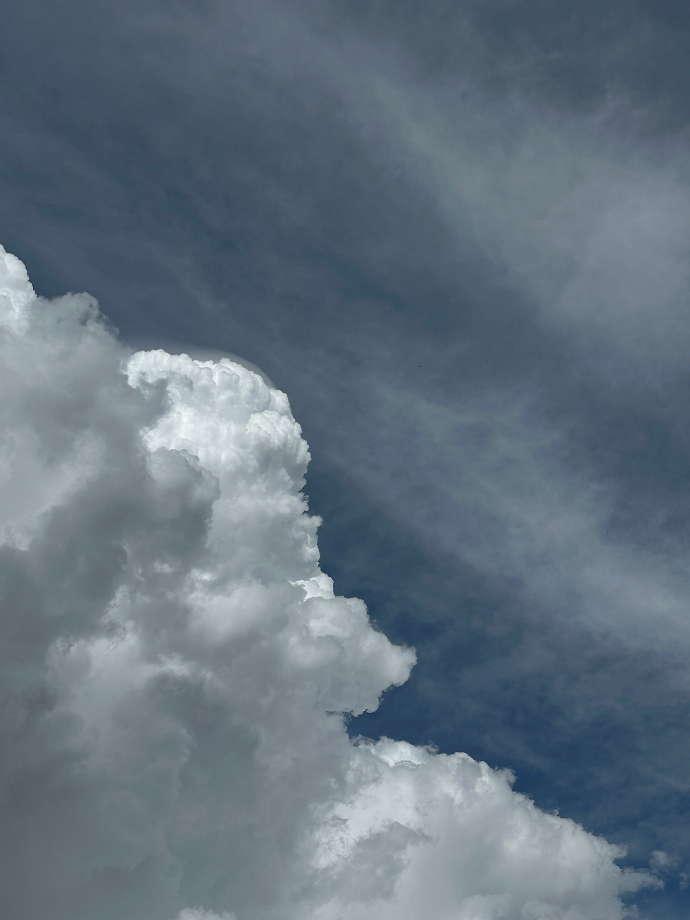 Elsea Naturopathy Calm