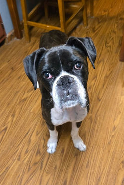 a46f4c471cd22342f9af3b062eff91eb