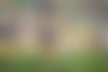 Senior Day Success: Statement Victory in Last Home Game of 2023 Season