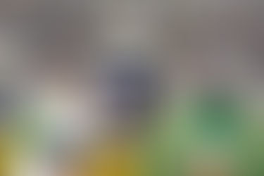 Notre Dame 2025 NFL Draft Recap