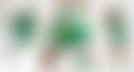 The Green Machine: An Effort to Keep South Bend Stands Green