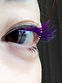 Hawaii Spa 3D Lash