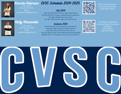 blue minimalist Travel Adventure Promotion Trifold Brochure.zip - More Info.png