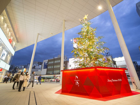 金沢の穴場を発見するおひとり様旅:地元目線の3泊4日