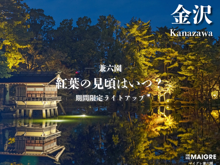 古都を彩る絶景。兼六園の紅葉の見頃時期と混雑を避ける金沢旅鑑賞ガイド