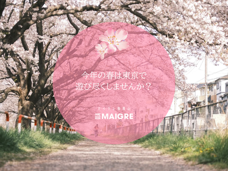 【南青山に泊まる】朝一番の桜並木も、深夜のライトアップも思いのまま。春の東京を遊び尽くす滞在術