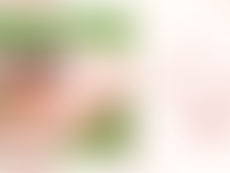 【厳選】伊東ピクニックにおすすめの場所5選|絶景・芝生・海を満喫