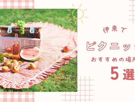 【厳選】伊東ピクニックにおすすめの場所5選|絶景・芝生・海を満喫