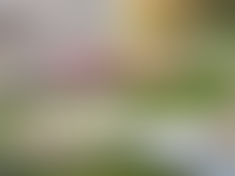 春風に誘われて代々木公園へ。渋谷原宿の真ん中で解放感に浸るピクニックの贅沢な楽しみ方