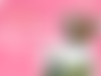 【春・GWカップル旅】伊東2泊3日モデルコース|映えスポット・カフェ・サウナを満喫