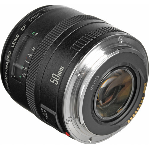 Canon EF 50mm f2.5 Compact Macro Lens | Cheungs