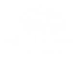 SMN Logo White_No Background .png