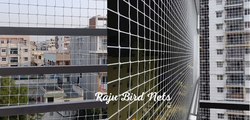 Bird Nets