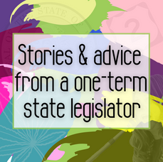 Bowing Out: Stories from a one-term state legislator