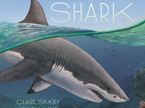 How Great White Sharks Inspire Unique Voices: An Interview with Author Claire Saxby