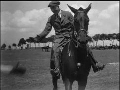 On the Firing Line with the Germans