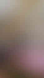 We walked and enjoyed some meals in Bologna