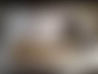 ID CHAMPAGNE ARDENNE : David Rodriguez de la start-up Reccal décoré de la médaille d'or du conco