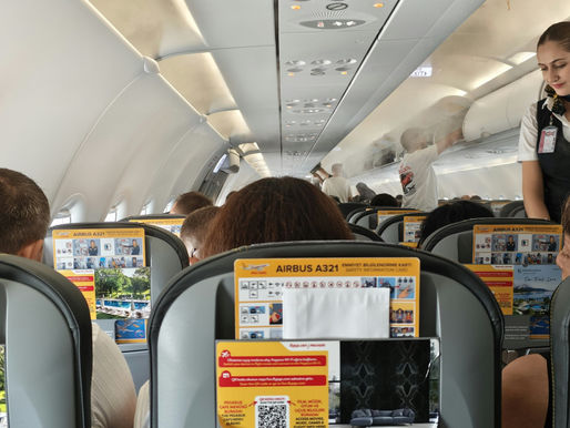 A flight attendant assisting client