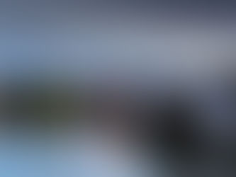 BOB's BLOG - Winter Walks Near Putney: Your Guide to Cozy Routes & Coffee Stops - Friday 9 January 2026