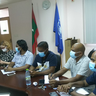 Monitoring meeting