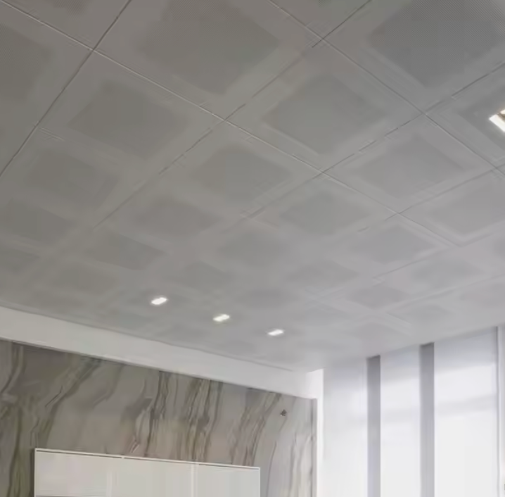 縮圖：Acoustic Ceiling