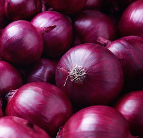 WIO001 | Indian Fresh Onion | Wedge India